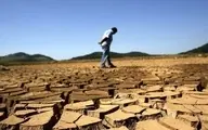 دانشمندان چینی با چسب گیاهی، بر شنی‌ترین خاک‌ها غلبه می‌کنند | رشد گیاهان در بیابان‌های خشک٬ جادوی جدید چینی ها +ویدئو