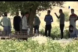 رقیب ایرانی وال استریت | مال استریت + ویدئو