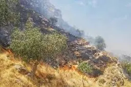 
4 بخش از ارتفاعات شیراز به‌صورت همزمان دچار حریق شد