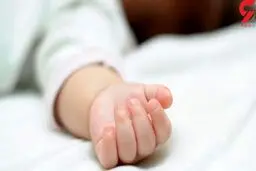 6 قلوهای یاسوجی مرده به دنیا آمدند