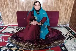 زری بهمنی! راهنمای بهار است نه بهاره رهنما 