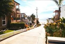 تست بینایی | تیزبین ها مرغ دریایی در تصویر را پیدا کنید؟ + پاسخ