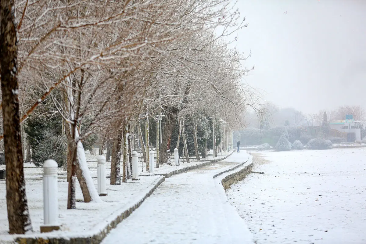 برف و باران در اغلب نقاط کشور 
