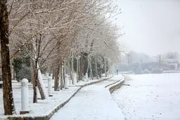 برف و باران در اغلب نقاط کشور 
