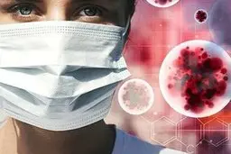  موج جدیدی از کرونا  | نیوزیلند را چشم زدند!