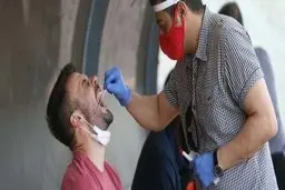 تست منفی ۱۵ مسافر از امارات به ایران تقلبی از آب درآمد!