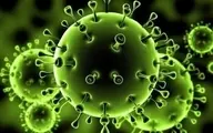 کرونا ویروس آپدیت شد! | علائم ویروس کرونا اریس چیست؟ + اینفوگرافیک