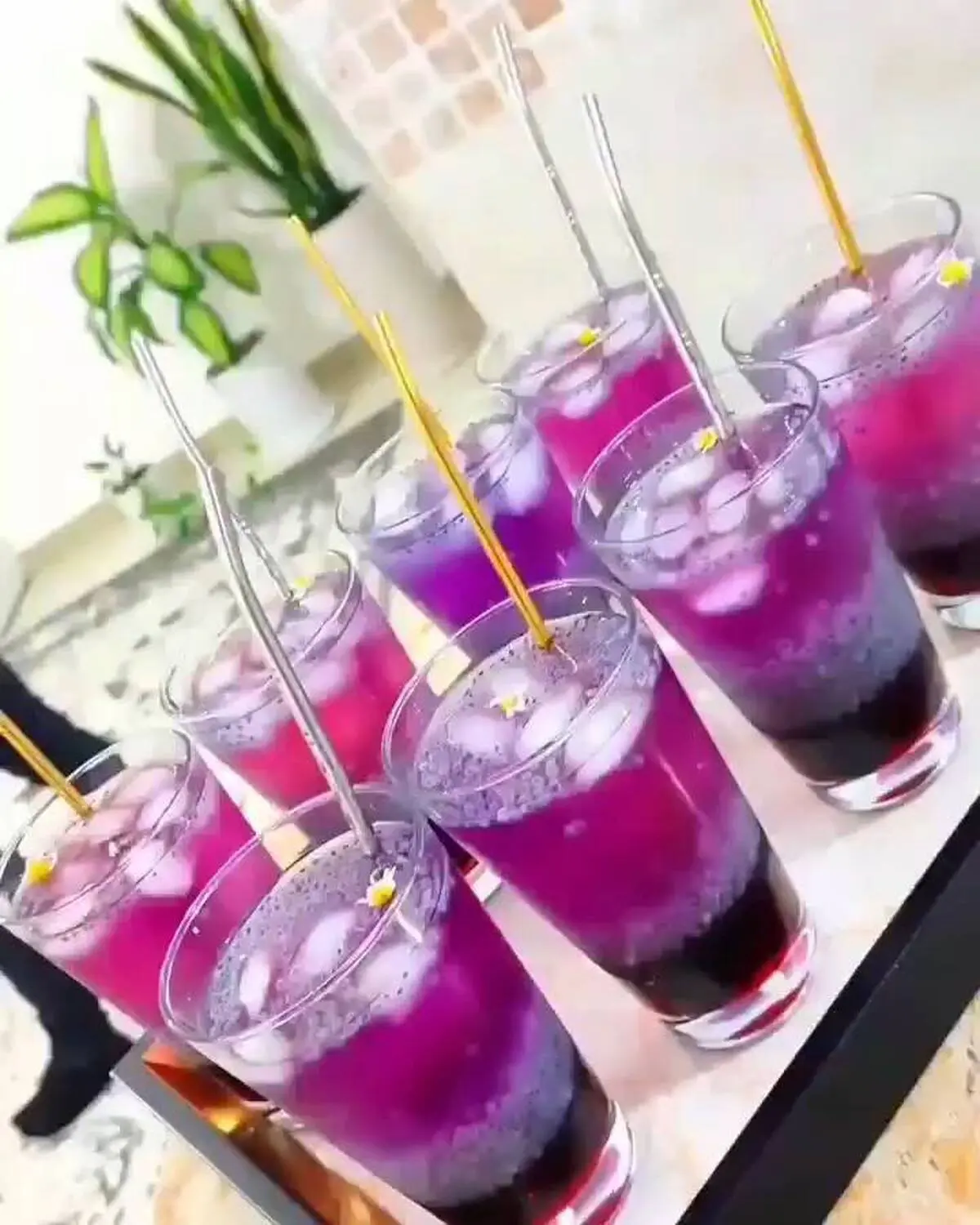 با خوردن این شربت همیشه توی تابستون احساس خنکی میکنی! | طرز تهیه شربت کهکشانی با خاکشیر | حالتو با این شربت توی گرما خوب کن + ویدئو