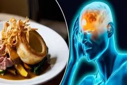 رژیم غذایی برای سردردهای میگرن