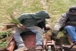 درخت کاری به روش مدرن + ویدئو