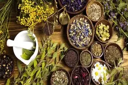 چرا طب سنتی را نقد می‌کنیم؟