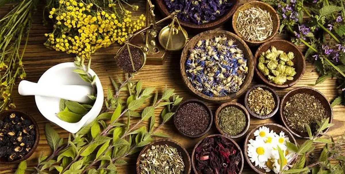 چرا طب سنتی را نقد می‌کنیم؟