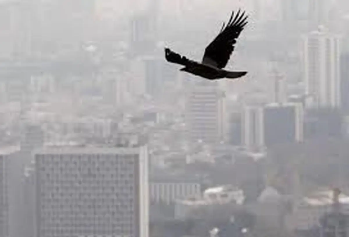 کارشناس هواشناسی : شر آلودگی ها چهارشنبه از سرمان کم می شود+ ویدئو 