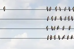 چرا دوری‌گزینی اجتماعی در دوران شیوع بیماری برای انسان ترسناک است؟ 