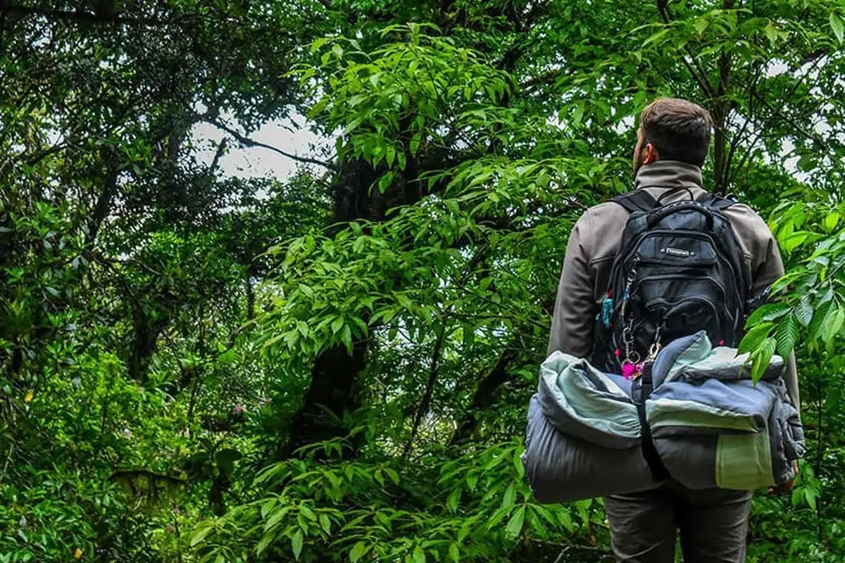 سرنوشت ۲۱ کوهنورد گمشده در جنگل‌های گیلان
