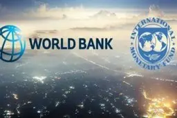 چرایی عدم درج نام ایران در فهرست دریافت کنندگان تسهیلات از صندوق بین المللی پول