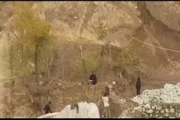 قطع درختان حیاط بیمارستان مسیح دانشوری برای عملیات عمرانی