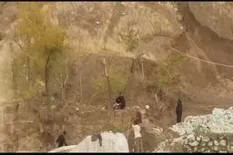 قطع درختان حیاط بیمارستان مسیح دانشوری برای عملیات عمرانی