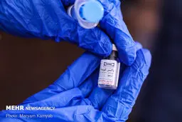 ۱۲ واکسن کرونای ایرانی متقاضی اخذ مجوز از سازمان غذا و دارو 