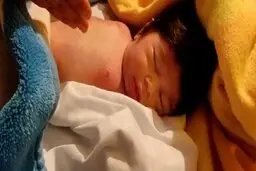 علت کوتاهی در درمان و صدور گواهی فوت نوزاد آبدانانی فوراً رسیدگی می‌شود
