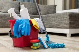 با این روش تا یک هفته از شر گرد و خاک خلاص شو! | ترفند ساخت محلول ضد گرد و خاک  +ویدئو