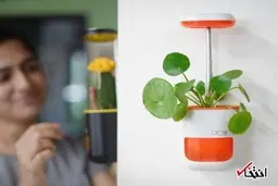 گلدان هوشمند پیکو را می‌توان یک باغچه کوچک  دانست
