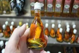 برآورد فوربس از خسارتهای کرونا