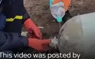 لحظه‌ی خنثی‌سازی بمب روسی در چرنیهف+ویدئو