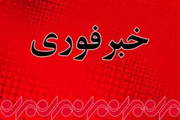 حمله با چاقو به عابران در وین| ۴ نفر زخمی شدند