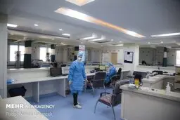 بیان صرف آمارها از کرونا دردی را دوا نمی کند