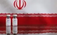 
 واکسن | چند درصد ایرانیان برای تزریق واکسن «برکت» تمایل دارند؟
