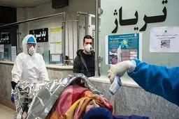 
عضو ستاد کرونا: نتیجه اعمال محدودیت‌ها سه تا چهار هفته بعد در کاهش مرگ و میرها مشاهده خواهد شد
