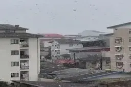 رشت سفیدپوش شد | اولین برف بهاری در رشت+ویدئو