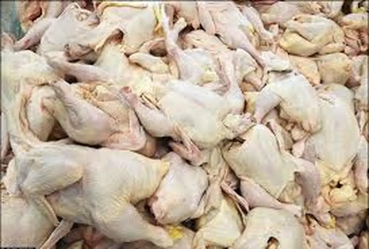 مرغ  رابالاتر از قیمت ۲۰۴۰۰  نخریدتخلف است
