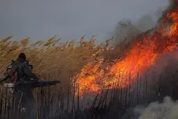 دوباره آتش به جان هورالعظیم افتاد