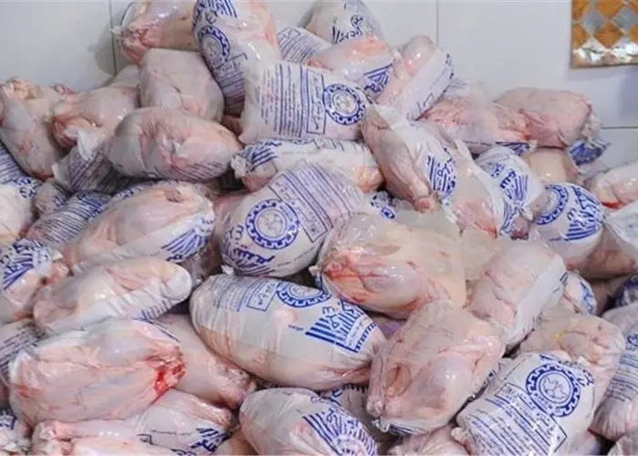 آغاز توزیع مرغ تنظیم بازاری با قیمت ۱۳۲ هزار تومان