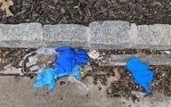 روز جهانی بدون پلاستیک؛اثرات مخرب پلاستیک بر محیط‌زیست 