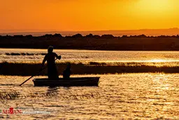 تالاب هامون زندگی را برای مردم به ارمغان آورده است