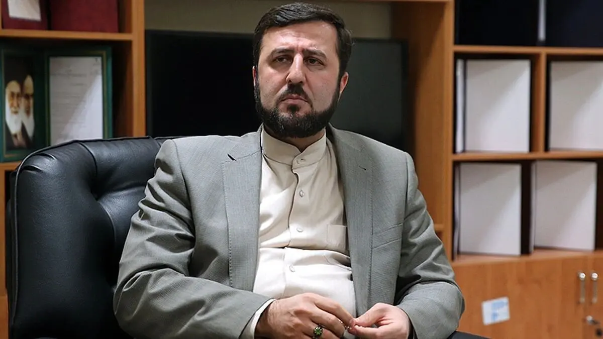 

۳۸۰۰ ایرانی زندانی در خارج از کشور داریم 
