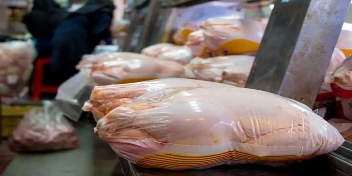 جدیدترین قیمت مرغ در بازار امروز |  مرغ تازه امروز کیلویی چند؟+جدول