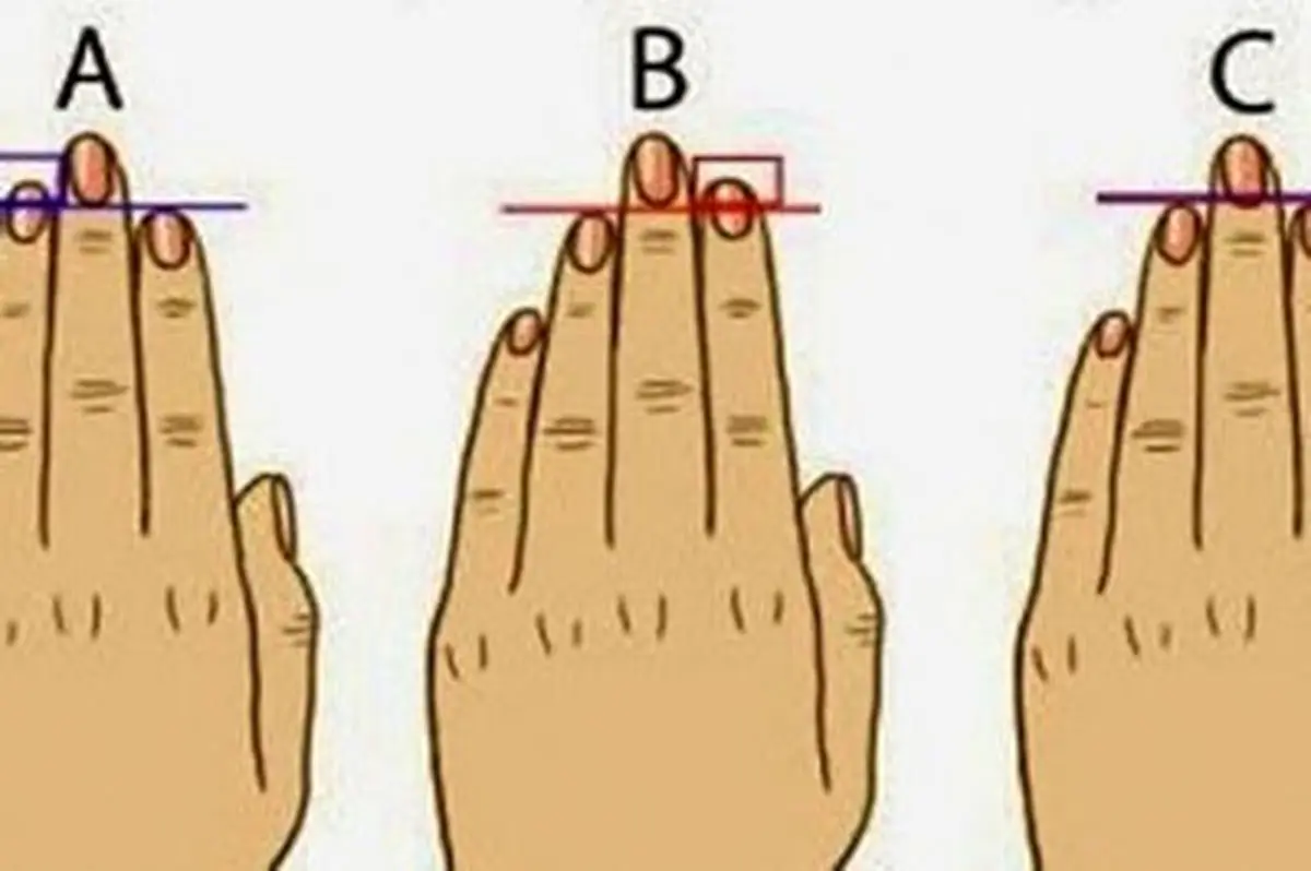 طول انگشتان شخصیت شما را آشکار می‌کند | شخصیت‌شناسی از روی انگشتان دست