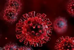 افزایش کرونا در هرمزگان 