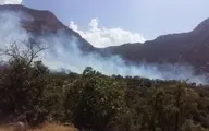 
 وزش باد دلیل تداوم آتش‌سوزی ارتفاعات دالاهو 
