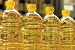 مدیحی طامه |   پرونده‌های تخلفات حوزه روغن به ما ارجاع نمی‌شود 