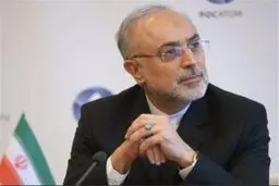 صالحی: برای اخراج ناظران آژانس فعلاً نمی‌توانیم پیشگویی داشته باشیم؛ باید صبر کنیم