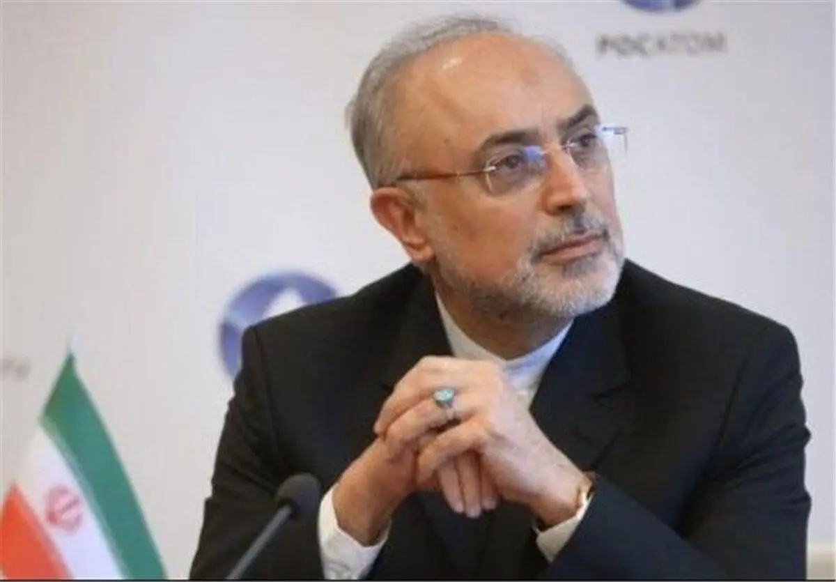 صالحی: برای اخراج ناظران آژانس فعلاً نمی‌توانیم پیشگویی داشته باشیم؛ باید صبر کنیم