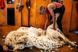 
پیشنهاد تهاتری جدید از راه رسید