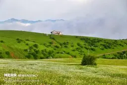 آتش زنندگان مراتع به ۱۰ سال حبس محکوم خواهند شد