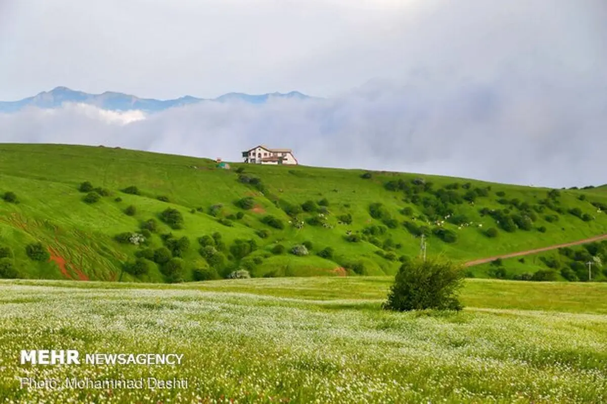آتش زنندگان مراتع به ۱۰ سال حبس محکوم خواهند شد