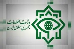 
شناسایی و ضربه به اخلال‌گران بازار ارز 